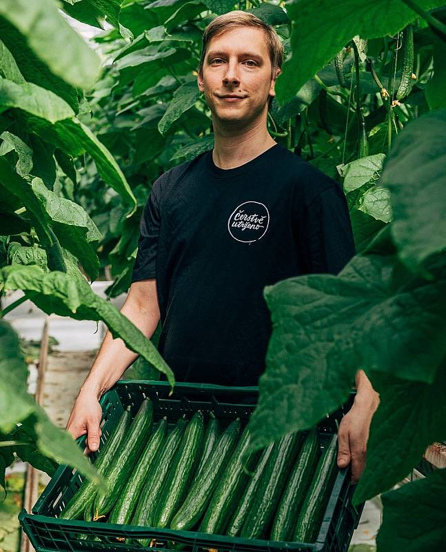 Výhradně tuzemská výroba bez pesticidů přímo na pulty prodejen. Pěstitele zeleniny z Čerstvě utrženo ale ničí vysoké ceny energií.