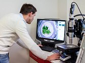 Nové laboratoře a přístroje za 17 milionů korun pomohou genetikům Zahradnické fakulty Mendelovy univerzity v Lednici se zkoumáním virů a bakterií.