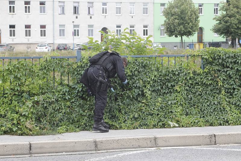 Policisté a potápěči pátrají na pobřeží i uvnitř řeky Dyje po předmětu, který souvisí s vraždou dvou lidí v Šilingrově ulici v Břeclavi.