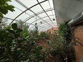 O čínský solární skleník pečují vědci z brněnské Mendelovy univerzity. Stojí v Lednici na Břeclavsku. Aktuálně je osazen náročnějšími subtropickými ovocnými druhy.