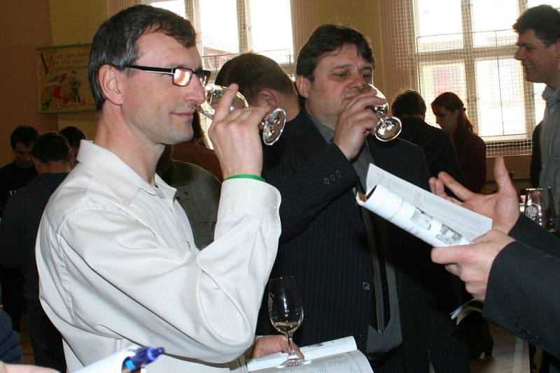 Výstava vín ve Velkých Němčicích patří k největším akcím svého druhu na Břeclavsku. Láká stovky miliovníků vín. Letos v kulturním domě nabídla 912 vzorků především od malovinařů.