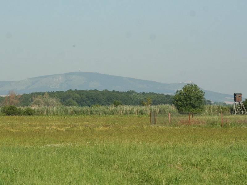 Obora Obelisk mezi Lednicí a Podivínem. 