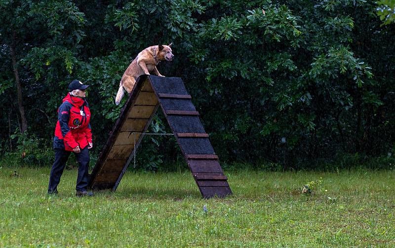 Jihomoravská brigáda Svazu záchranných brigád kynologů ČR pořádala v Břeclavi Pohár plemen.