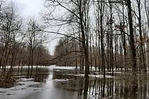 Opatření platí do konce ledna a souvisí s povodňovou situací na Moravě a Dyji.
