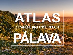 Nově spuštěný webový Atlas chráněné krajinné oblasti Pálava přibližuje unikátní přírodní oblast v interaktivní podobě. Od skal až po víno.