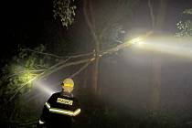 Silná bouřka s kroupami zaměstnala v sobotu večer na Soutoku hasiče z Lanžhota a Břeclavi. Lesníci předběžně hovoří až o třech tisících kubíků vývratů.