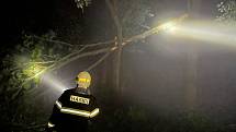 Silná bouřka s kroupami zaměstnala na Soutoku hasiče z Lanžhota a Břeclavi. Lesníci předběžně hovoří až o třech tisících kubíků vývratů.