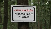 Pyrotechnici vyčistili už sto padesát hektarů Bořího lesa mezi Valticemi a Břeclaví. Začala pátá etapa průzkumu.