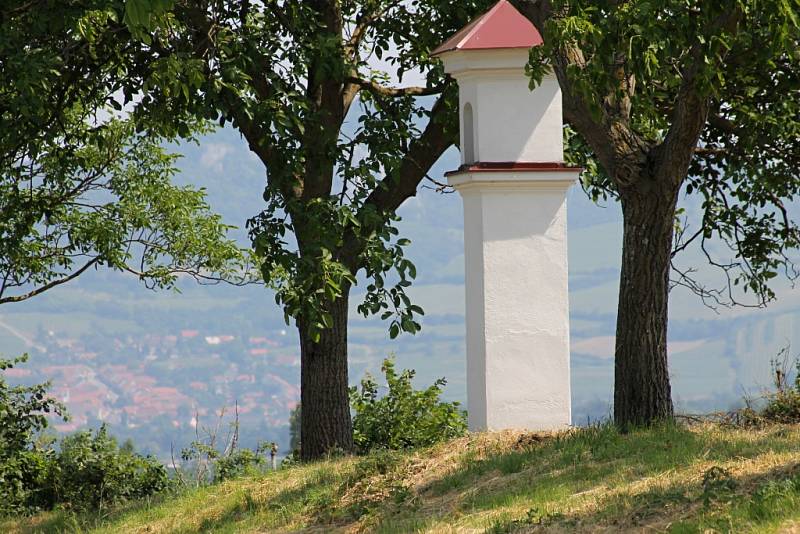 Novou archeologickou naučnou stezku představil v pondělí u Pasohlávek i odborník Balázs Komoróczy. Tématem je Mušov jako brána do Římské říše.  