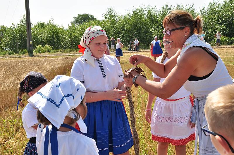 Historické žně v Drnholci na Břeclavsku pořádají místní nadšenci a sdružení Bacchus. Připomínají si tak práci předků.