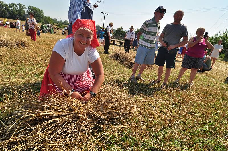 Historické žně v Drnholci na Břeclavsku pořádají místní nadšenci a sdružení Bacchus. Připomínají si tak práci předků.