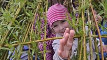 Děti v Pohořelicích mají k dispozici novou zahradu za čtyři miliony korun. 