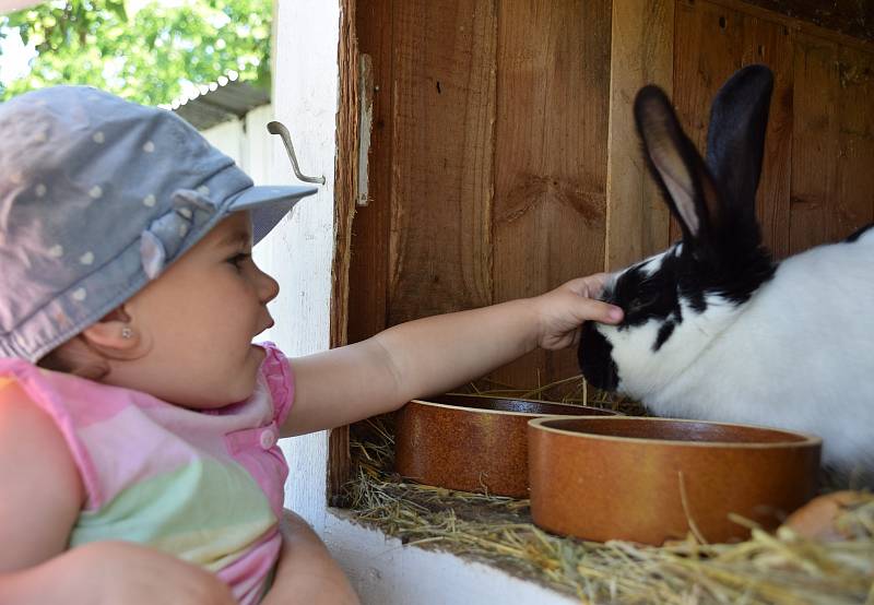 Manželé Drtílkovi převzali v Hlohovci farmu po Klářině zemřelém otci. Na památku po něm ji pojmenovali Spěvákova farma.