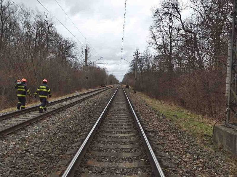 Pád stromu zastavil železniční dopravu na trati nedaleko Lanžhota na Břeclavsku.