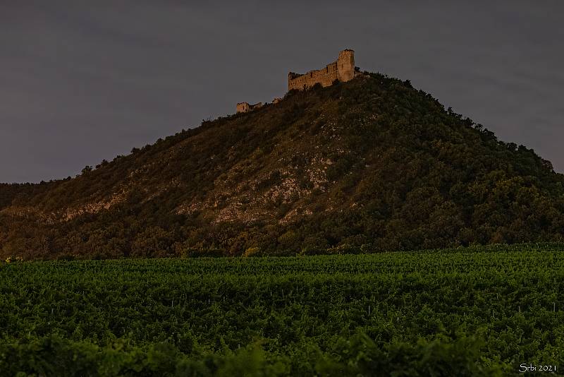 Z výletu do kraje pod Pálavou.