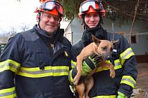 Dvě jednotky hasičů ve středu odpoledne vyjížděly k záchraně vyděšeného psa, který pobíhal po střechách v Nové ulici v Rakvicích.