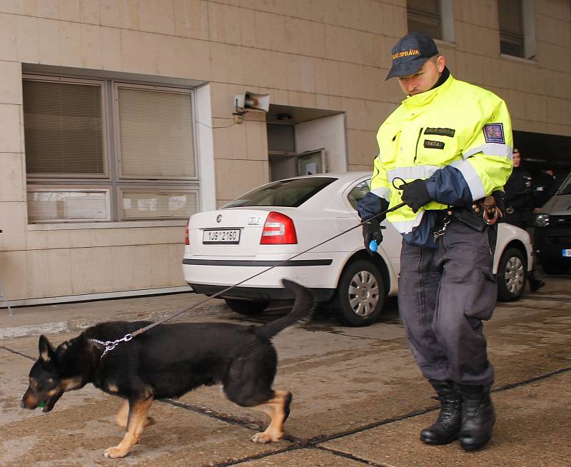 Cvičení Vlna se uskutečnilo v úterý na hraničním přechodu u Mikulova. Mělo za úkol prověřit situaci, kdyby došlo k zavedení kontrol na státní hranici s Rakouskem. 