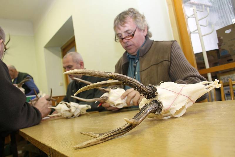 Přes šest stovek trofejí srnců, a další jelení nebo mufloní, hodnotili myslivci v pátek v sídle Okresního mysliveckého spolku v Břeclavi. Poslali jim je lovci z pětasedmdesáti mysliveckých jednot oblastí Břeclav, Hustopeče, Mikulov a Pohořelice. 