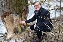 Hans Jörg Damm pracuje u rodiny Lichtenštejnů více jak třicet let. Poslední roky je tento vystudovaný lesní inženýr a ekonom ředitelem podniku Guts- und Forstbetrieb Wildersdorf.