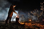Sadaři proti mrazům bojují zapalováním ohňů v blízkosti kvetoucích stromů - Ilustrační foto