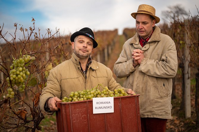 Na webu odstartoval nový dvanáctidílný seriál o víně Tož na zdraví! s herci Davidem Vaculíkem a Jiřím Hejcmanem ze Slováckého divadla v Uherském Hradišti.