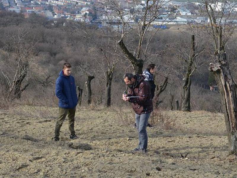 V Hustopečích poprvé sčítali mandloně.