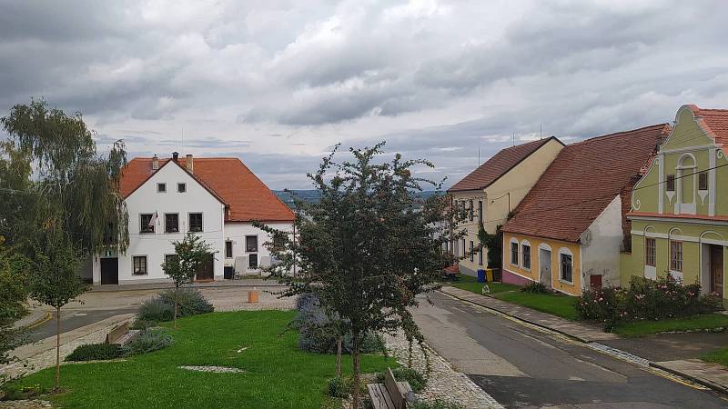 Pavlov si oblíbili i tvůrci televizních seriálů. Ve Vinařich a Pálavě si zahrál pod jménem Křetice. Teď ale patří skutečným vinařům a mimo jjiné skutečné Pálavě, oblíbené odrůdě bílých vín.