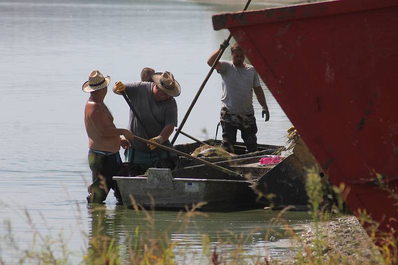 Výlov uhynulých ryb z největšího moravského rybníku Nesyt na Břeclavsku.