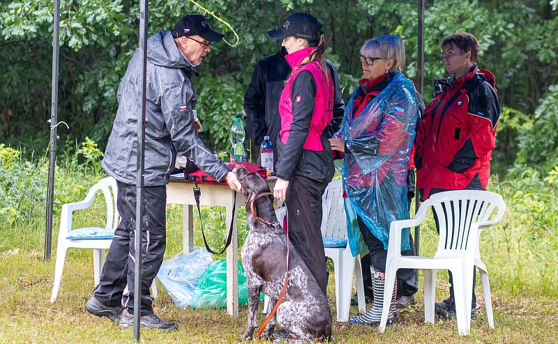 Jihomoravská brigáda Svazu záchranných brigád kynologů ČR pořádala v Břeclavi Pohár plemen.