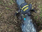 První vzorky na rozbor odebrali z potoka Turold v Mikulově hasiči. Radnice podala podnět k prošetření České inspekci životního prostředí.