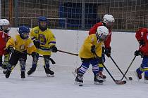 Malí hokejisté z HC Lvi Břeclav v neděli trénovali na kluzišti v Kosticích.