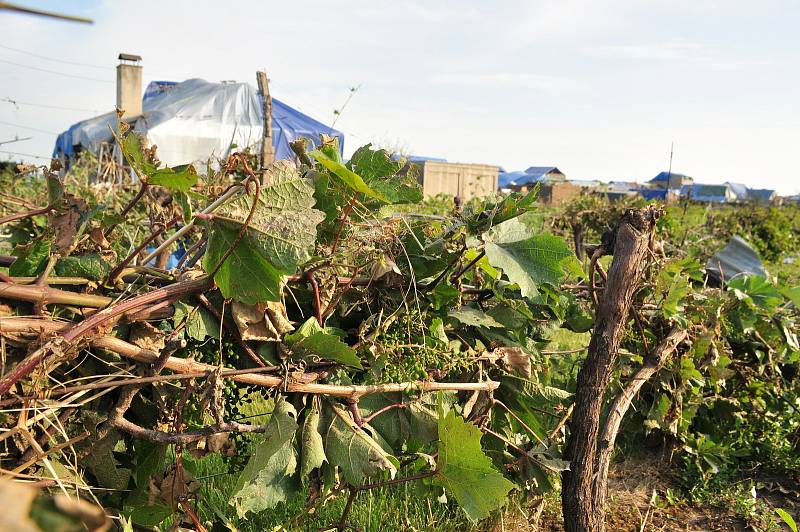 Pátý den po katastrofě. V obcích  poškozených tornádem, začaly první demolice domů, zatím jen v režii majitelů nemovitostí. Řízené demolice 115 domů kraj zahájí příští týden.