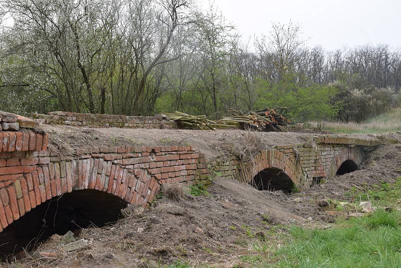 Sedlečtí, Drasenhofenští a Mikulovští se podílejí na rozsáhlém projektu obnovy krajiny v lokalitě zvané Portz Insel