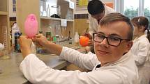 Studenti břeclavského gymnázia dělali ve čtvrtek pro děti z mateřské školy různé fyzikální a chemické zábavné pokusy. V biologii si děti vyzkoušely například mikroskopování.