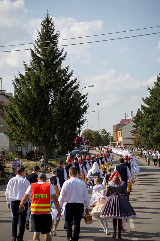 Ohlédnutí za hody ve Velkých Bílovicích.