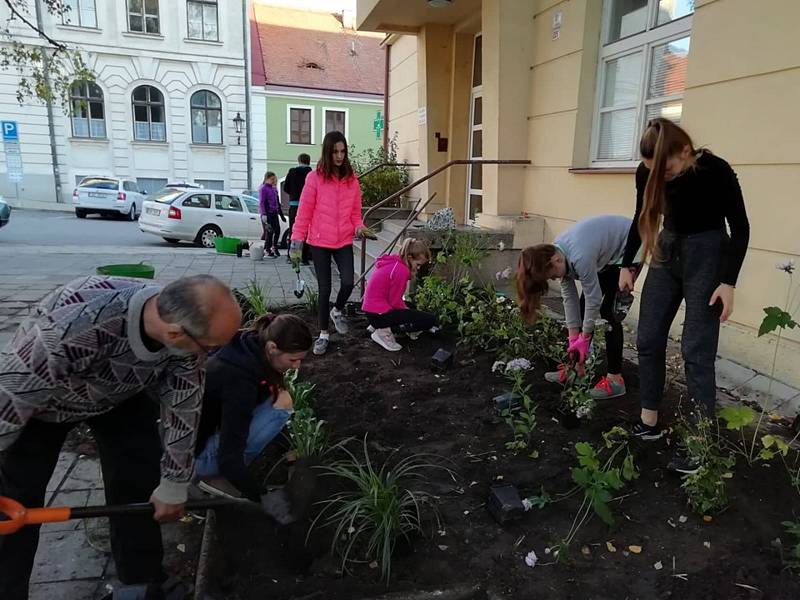 Záhon před Domem zdraví zkrášlí květiny.