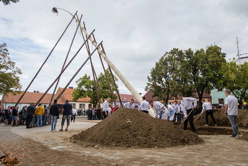 Krojované hody a stavění máje v Lanžhotě.