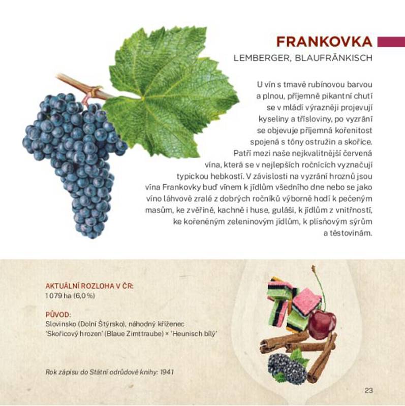 Národní vinařské centrum vydalo novou publikaci, která přiblíží známé odrůdy vín.