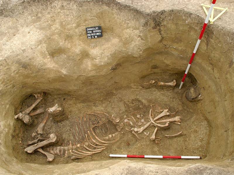Při stavbě domu v Drnholci na Mikulovsku objevili staré hroby, patrně langobardské. 