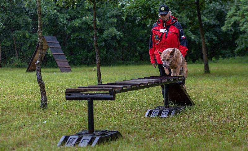 Jihomoravská brigáda Svazu záchranných brigád kynologů ČR pořádala v Břeclavi Pohár plemen.