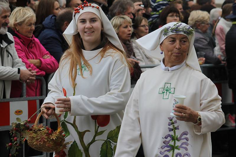 Burčákové slavnosti přilákaly tisíce lidí. V sobotním historickém průvodu kráčely různé cechy, ale i indiáni.