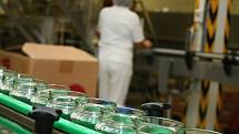 Zaměstnanci firmy Fruta Podivín vyrábí džemy ve třísměnném provozu. Naplní až dvacet tisíc sklenic jahodového výběrového džemu za osm hodin.