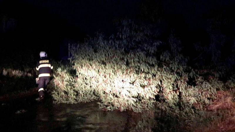 Hasiči v noci na pátek řešili desítky popadaných stromů.