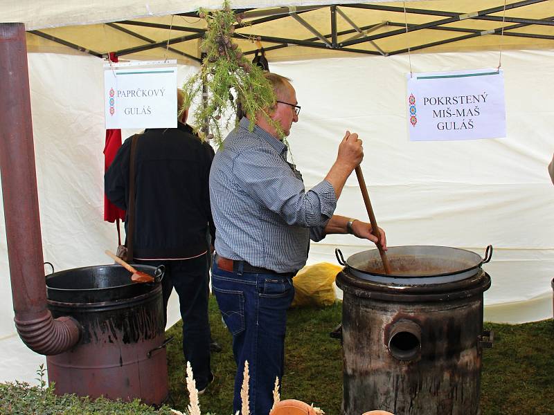 Gulášový festival nabídl mnoho druhů tohoto pokrmu a každý si tak přišel na své. Zavítali na něj i návštěvníci ze zahraničí.