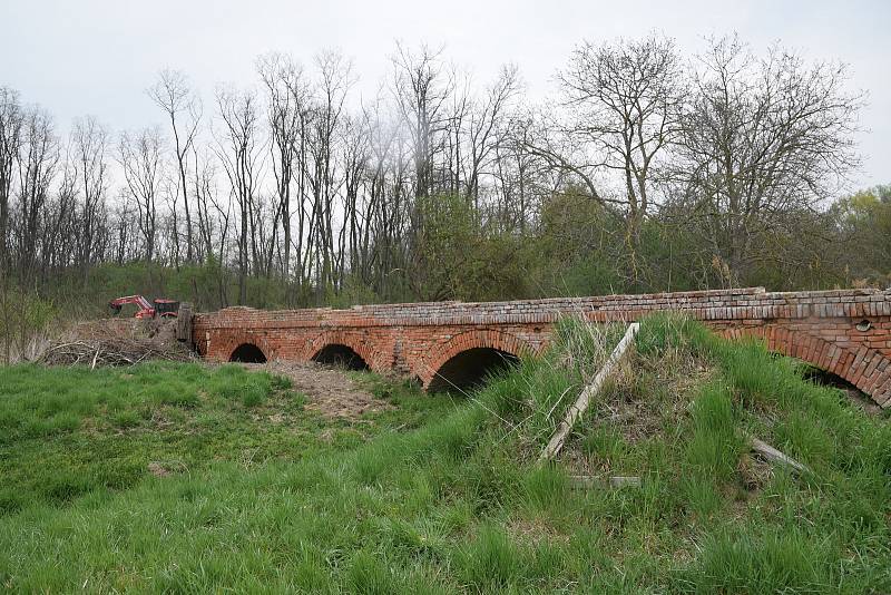 Sedlečtí, Drasenhofenští a Mikulovští se podíleli na rozsáhlém projektu obnovy krajiny v lokalitě zvané Portz Insel