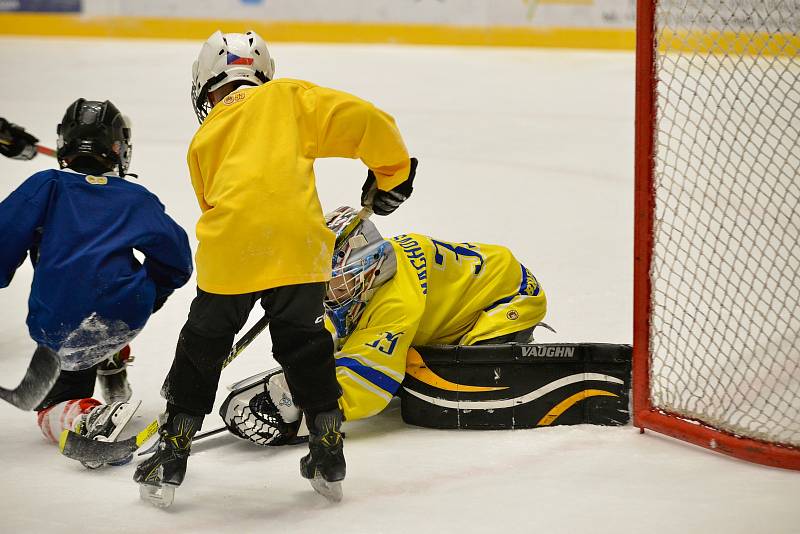 Břeclavští Lvi se zapojili do desátého Týdne hokeje a poslední listopadovou sobotu pozvali na zimní stadion děti, aby si vyzkoušely hokejový trénink.