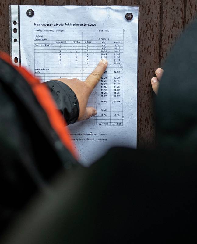 Jihomoravská brigáda Svazu záchranných brigád kynologů ČR pořádala v Břeclavi Pohár plemen.