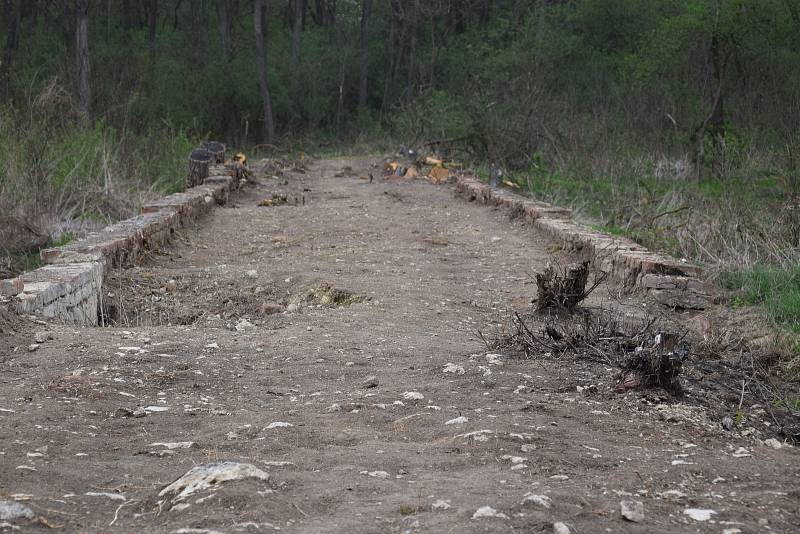 Sedlečtí, Drasenhofenští a Mikulovští se podílejí na rozsáhlém projektu obnovy krajiny v lokalitě zvané Portz Insel