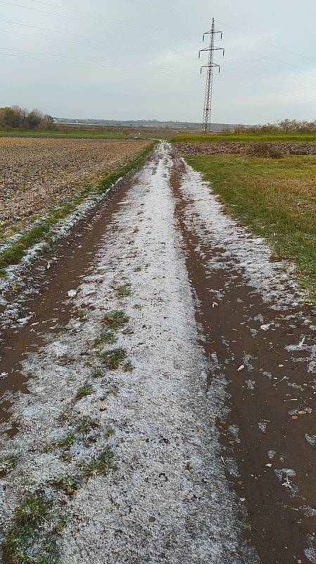 První sníh pocukroval 19. listopadu okolí Šakvic.