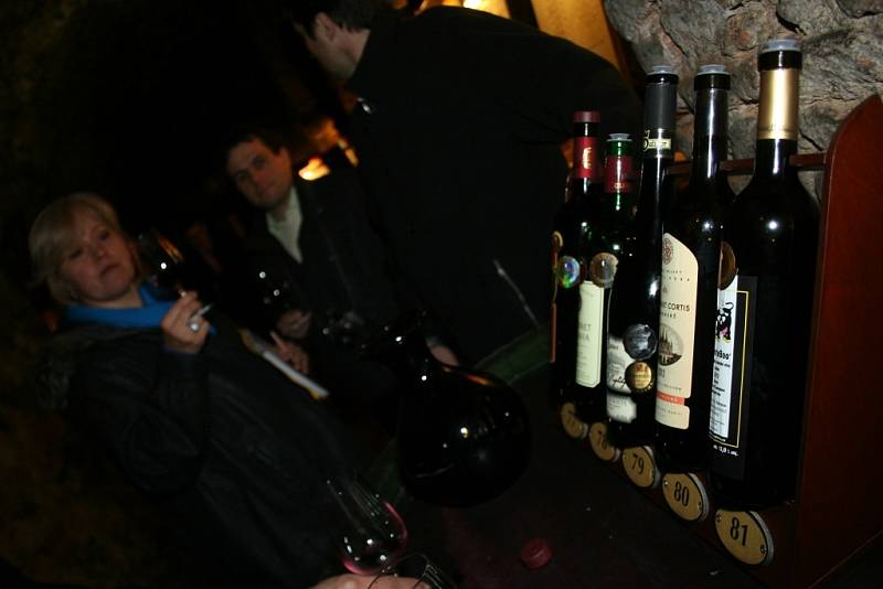 Nový Salon vín 2014 v podzemí valtického zámku otevírá své brány. V pátek měli možnost ochutnat sto nejlepších vín České republiky ocenění vinaři a pozvaní hosté. V sobotu se nově obměněná stálá degustační expozice poprvé otevře veřejnosti.